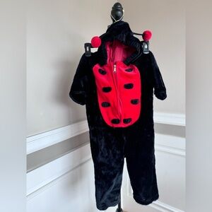 Child large ladybug costume